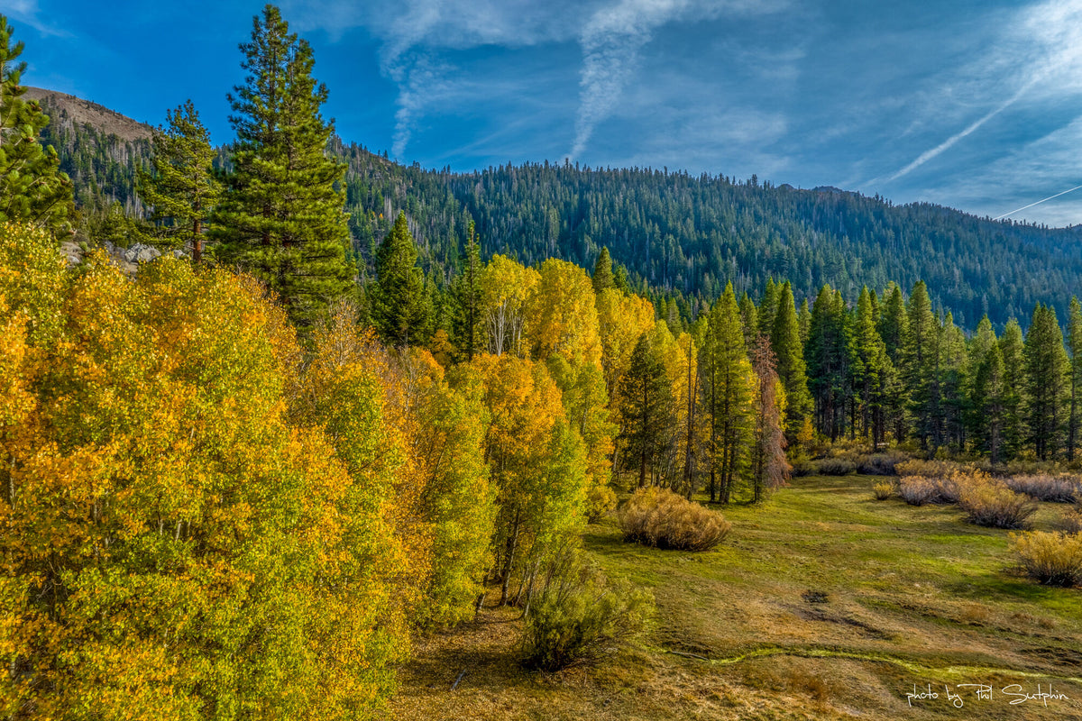 June Lake Fall Colors