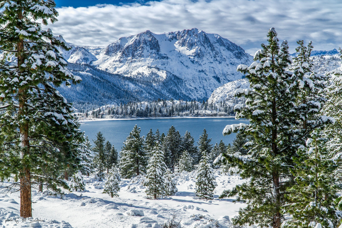 Winter 2023  in June Lake