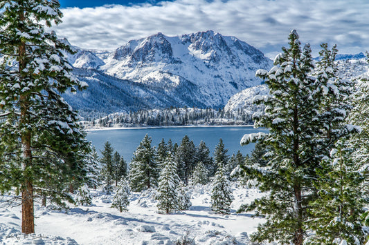 Winter 2023  in June Lake
