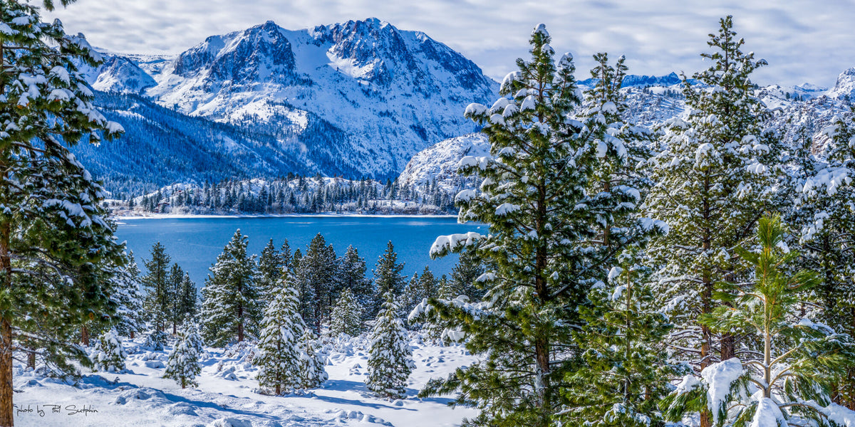 Panorama of Winter 2023  in June Lake